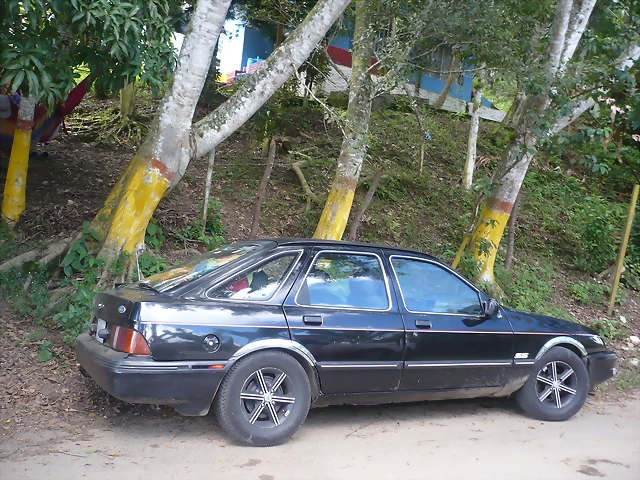 P1000571 P1000571