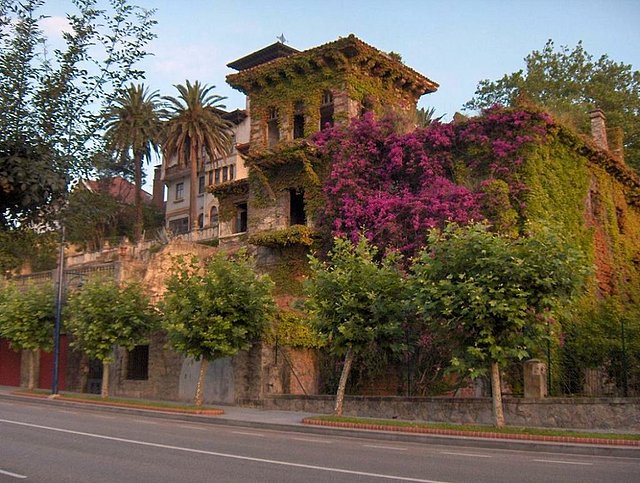 En verano hasta las casas abandonadas son bonitas