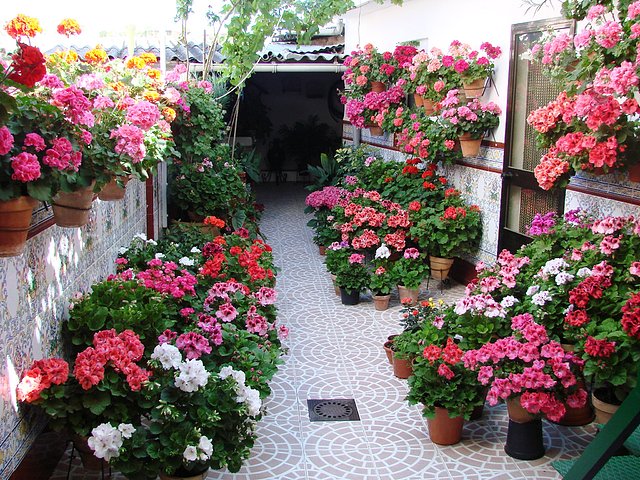 patio en calle capitn bonet