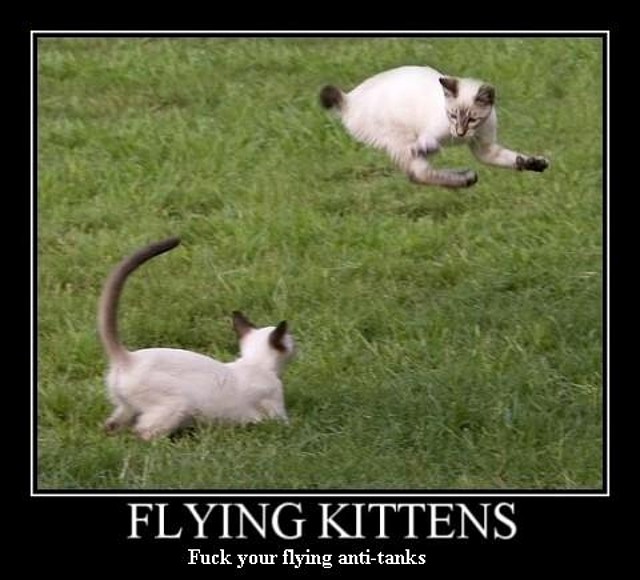 03_flying_kittens-480x435