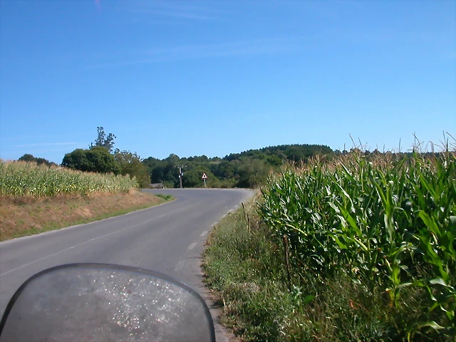 DSCN1686 DSCN1686