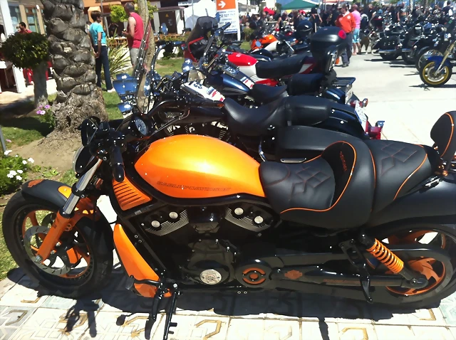 IMG_1242 IMG_1242