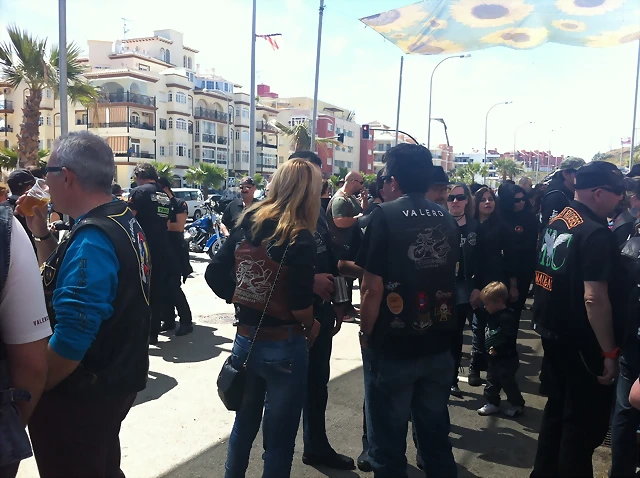 IMG_1239 IMG_1239