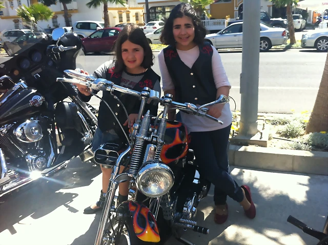 IMG_1237 IMG_1237