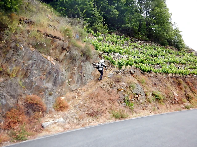 DSCN3449 DSCN3449