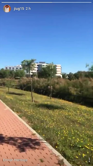 Video Hugo IG Stories 3-5-2017 (4) Video Hugo IG Stories 3-5-2017 (4)