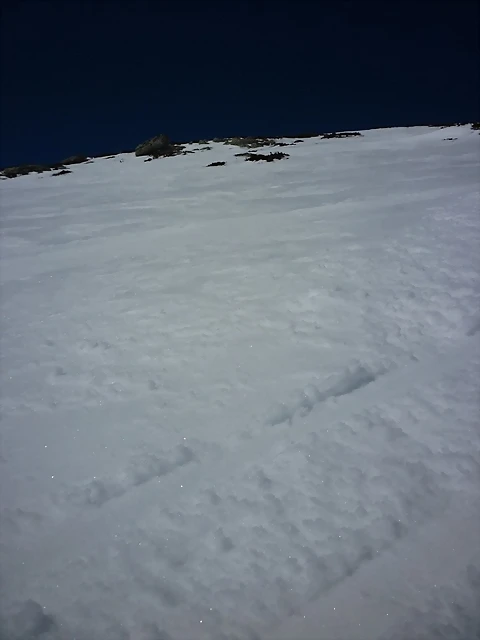 cornon 012 cornon 012