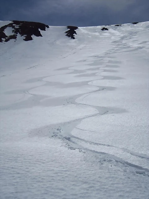 577527_537450082960228_1017832024_n