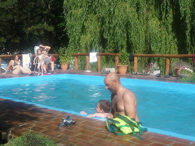 P1060993 P1060993