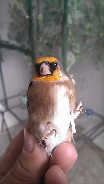IMAG0125 IMAG0125