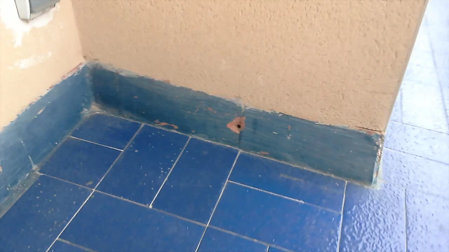 20141220_100436 20141220_100436