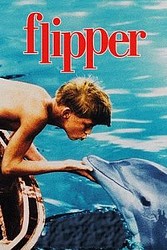 mi amigo Flipper_car1 mi amigo Flipper_car1