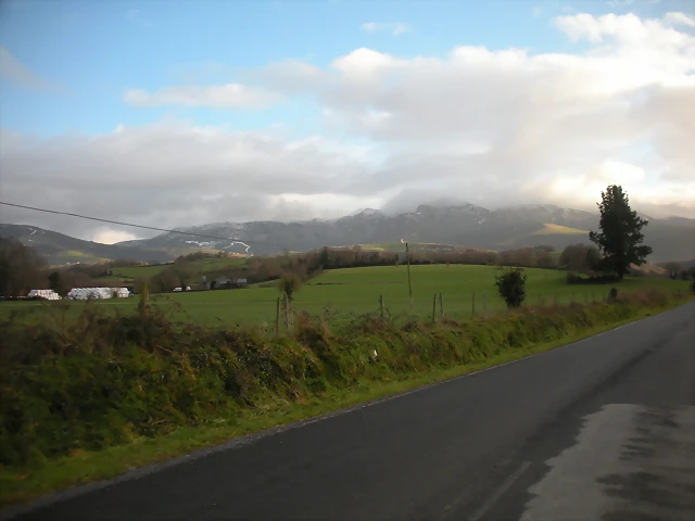 DSCN2866 DSCN2866