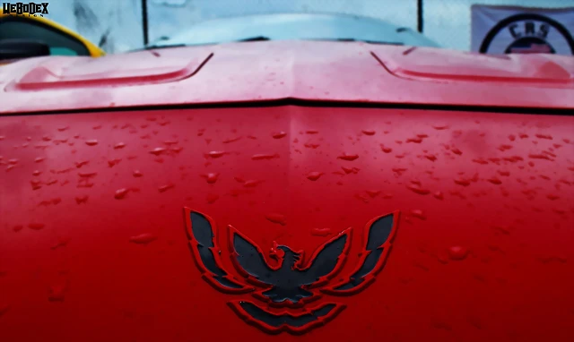 DSC_0766 DSC_0766