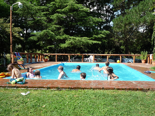 P1060972 P1060972
