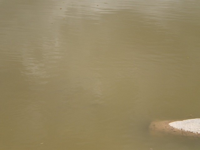 PC291084 [Desktop Resolution]