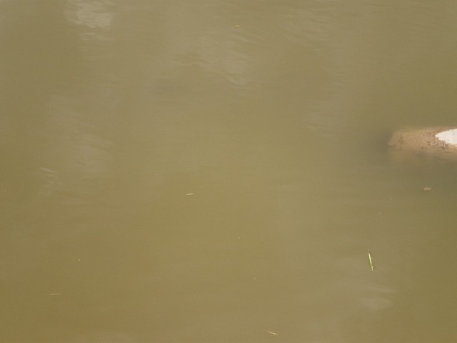 PC291085 [Desktop Resolution]
