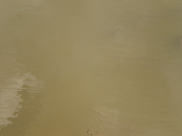 PC291083 [Desktop Resolution]