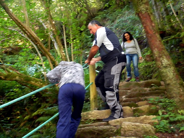 DSCN0667'4 DSCN0667'4