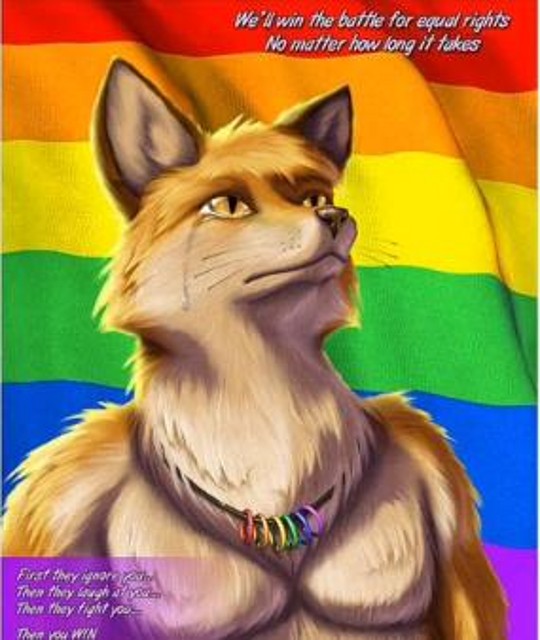 fur flag gay