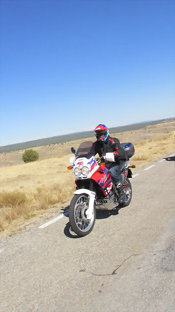 IMG_2265 IMG_2265