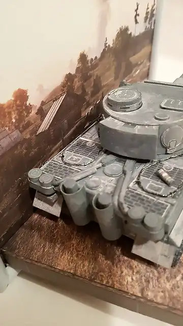 Tiger 1 (45)