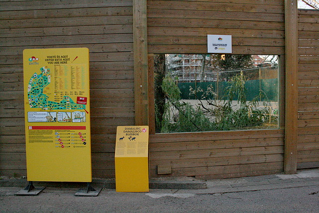 Zoo de Barcelona 09-02-11 442 Zoo de Barcelona 09-02-11 442
