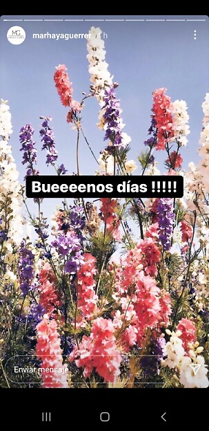 Marhaya Guerrer IG Stories 29-7-2021 (1) Marhaya Guerrer IG Stories 29-7-2021 (1)