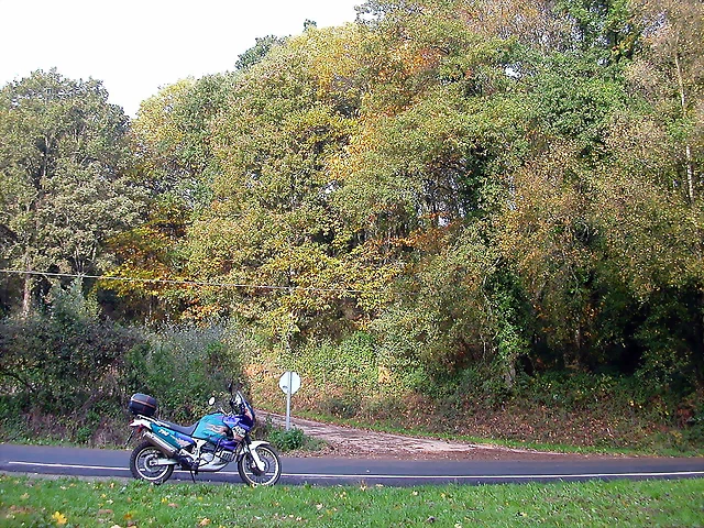 DSCN6226 DSCN6226