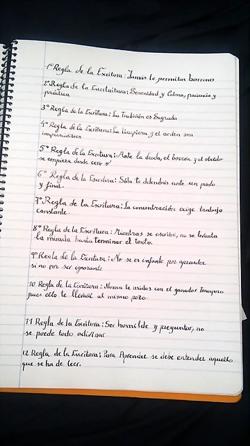 Mis reglas de la escritura