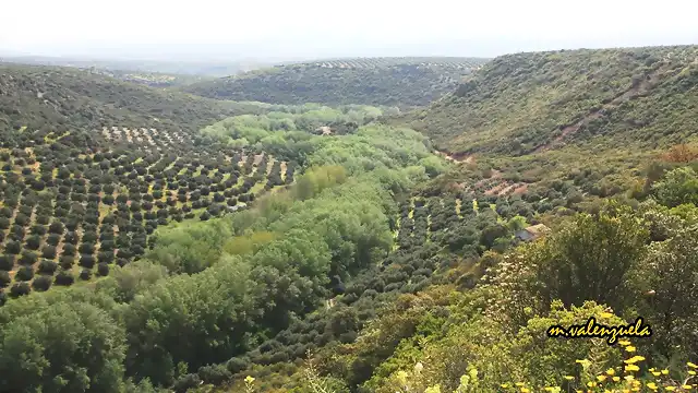 04, el guadalimar, marca