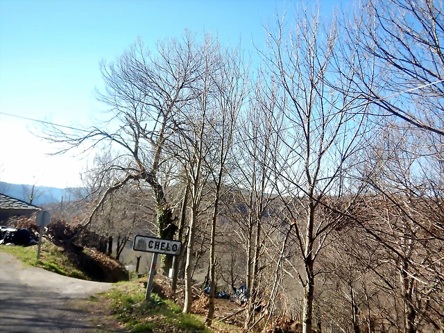 DSCN3631 DSCN3631
