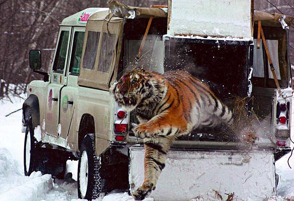 lara crof land rover 2