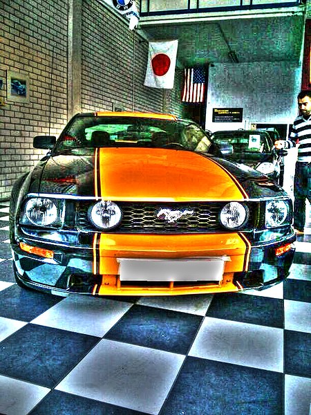 MUSTANG chiguy41 xtra