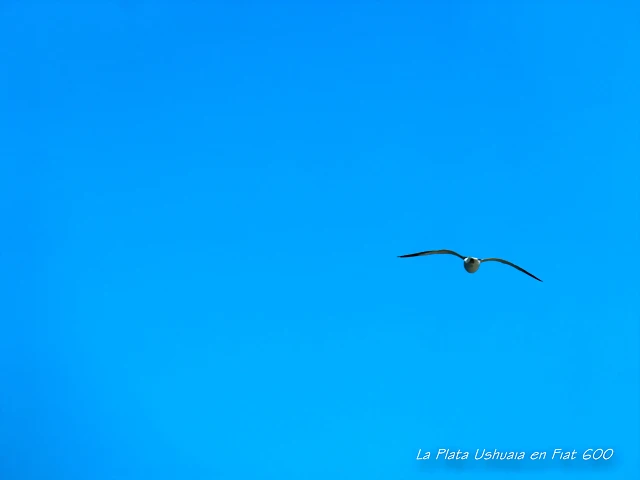 P1220915
