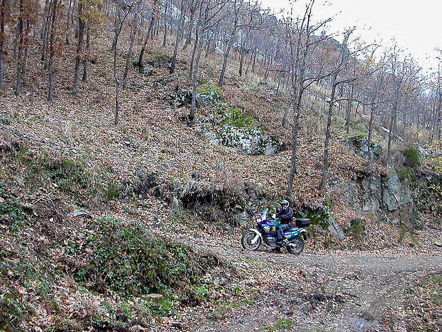 DSCN9646 DSCN9646