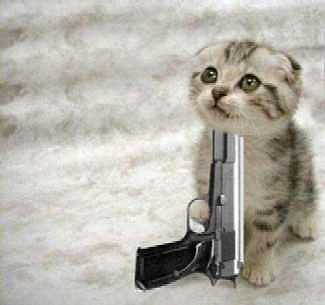 gatinho20suicida