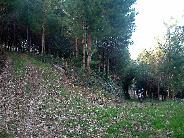 DSCN5761 DSCN5761