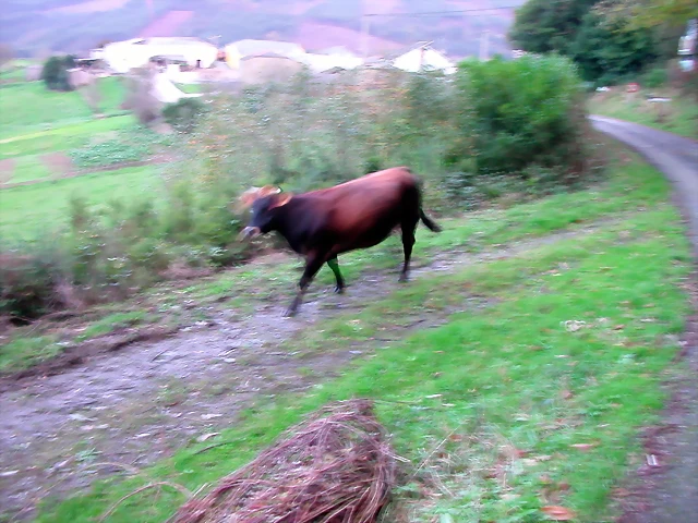 DSCN6325 DSCN6325