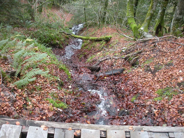DSCN0755 DSCN0755