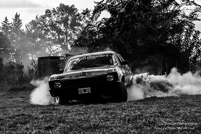 DSC_0307 DSC_0307