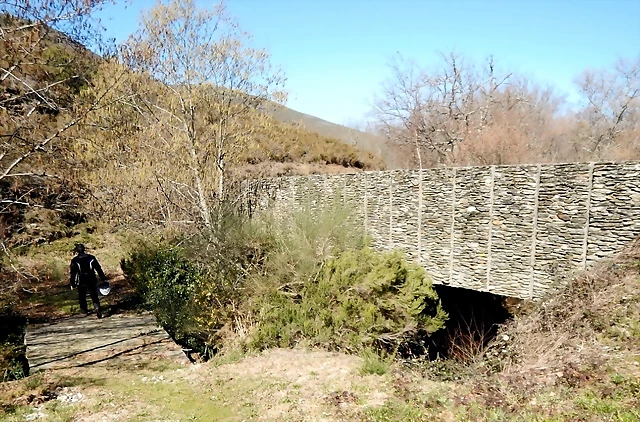 DSCN1521 DSCN1521