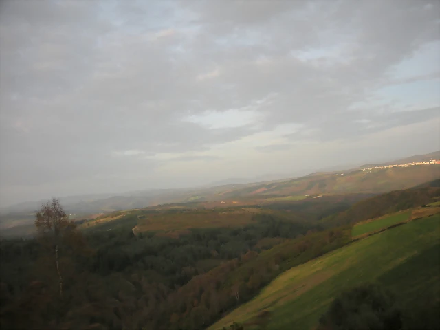DSCN9893 DSCN9893