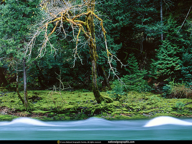 National Geographic Wallpapers 056