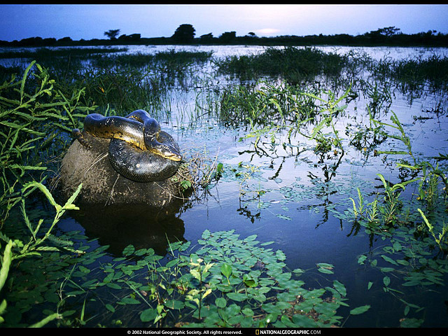 National Geographic Wallpapers 026