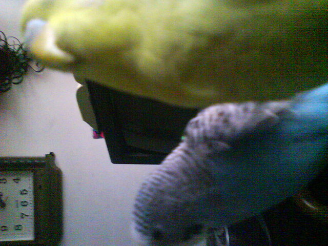 hermosos hermosos
