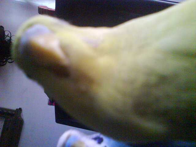hermosos hermosos