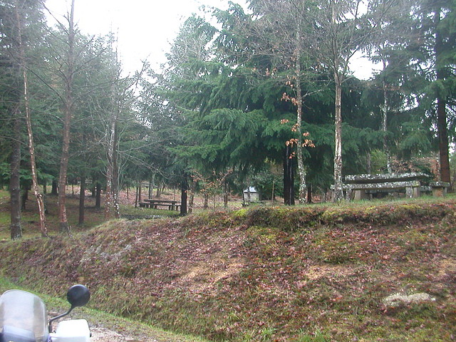 DSCN5337 DSCN5337