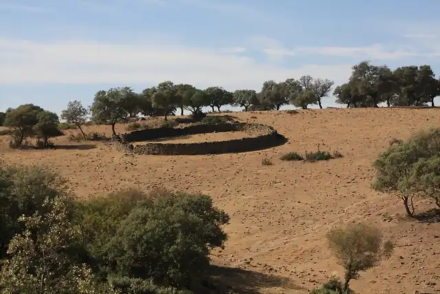 009, ttrochas de ovejas en la tierra