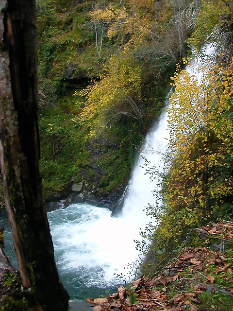 DSCN6141 DSCN6141